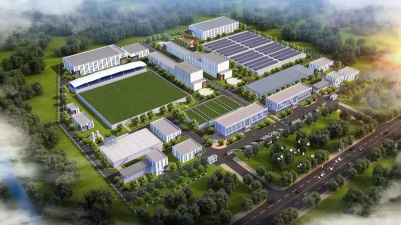 如何选择可降解材料定制生产厂家：关键因素解析